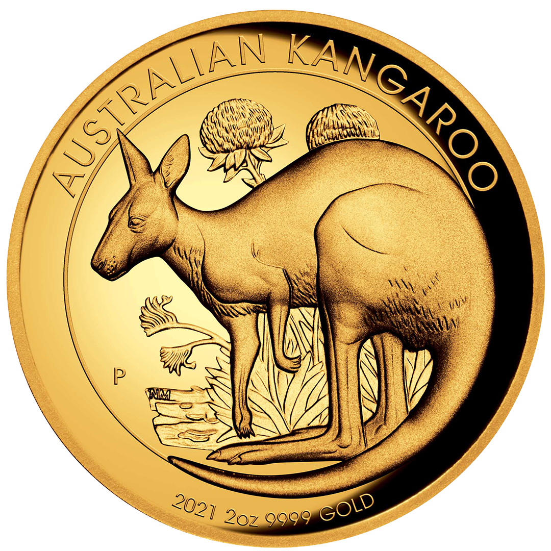 Gold Nugget / Känguru 1 Unze